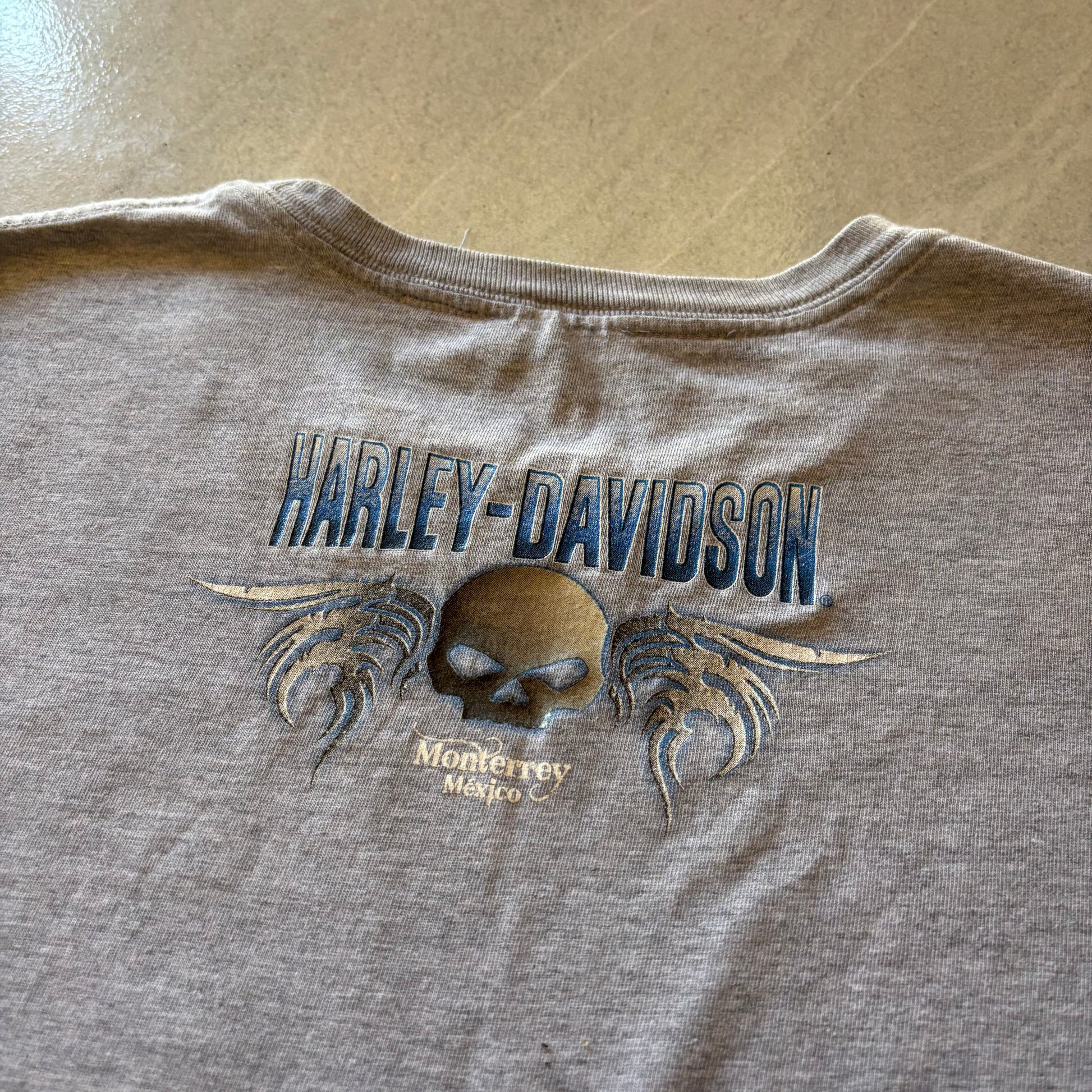 (L FIT M) HARLEY DAVIDSON Y2K EAGLE