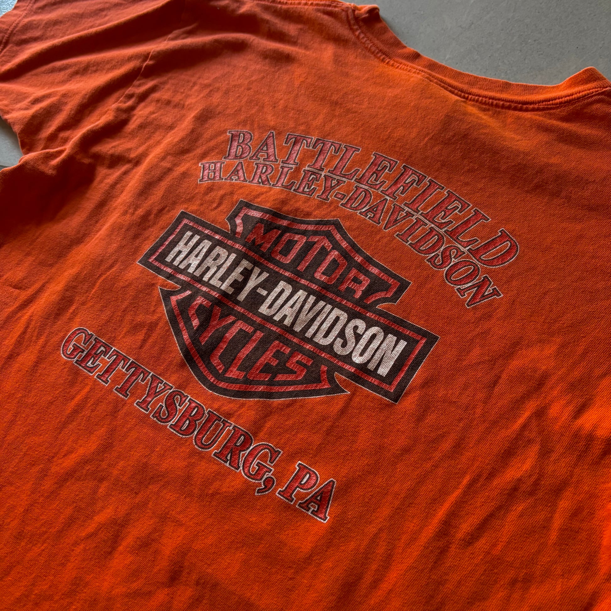 (L) HARLEY DAVIDSON POCKET TEE 00's