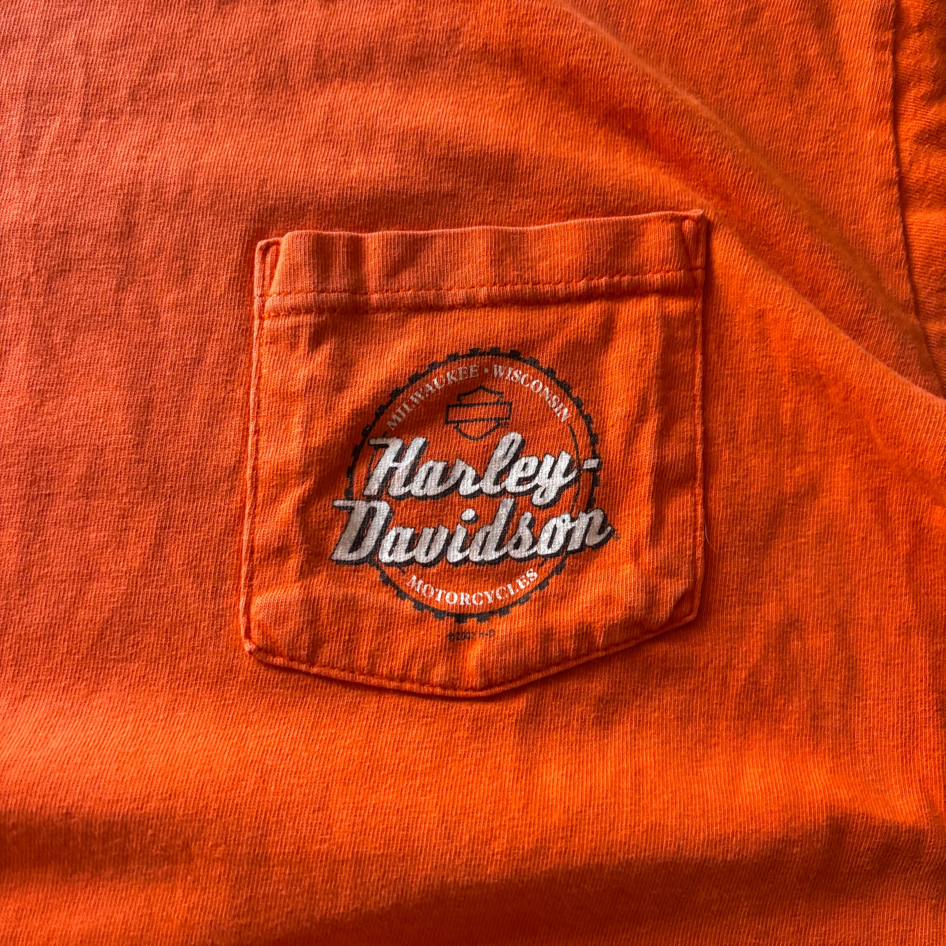 (L) HARLEY DAVIDSON POCKET TEE 00's
