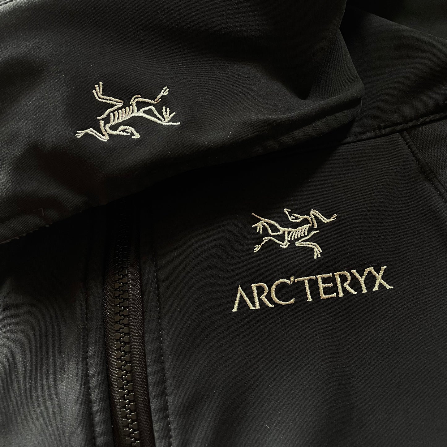 (L) ARC’TERYX Black Jacket