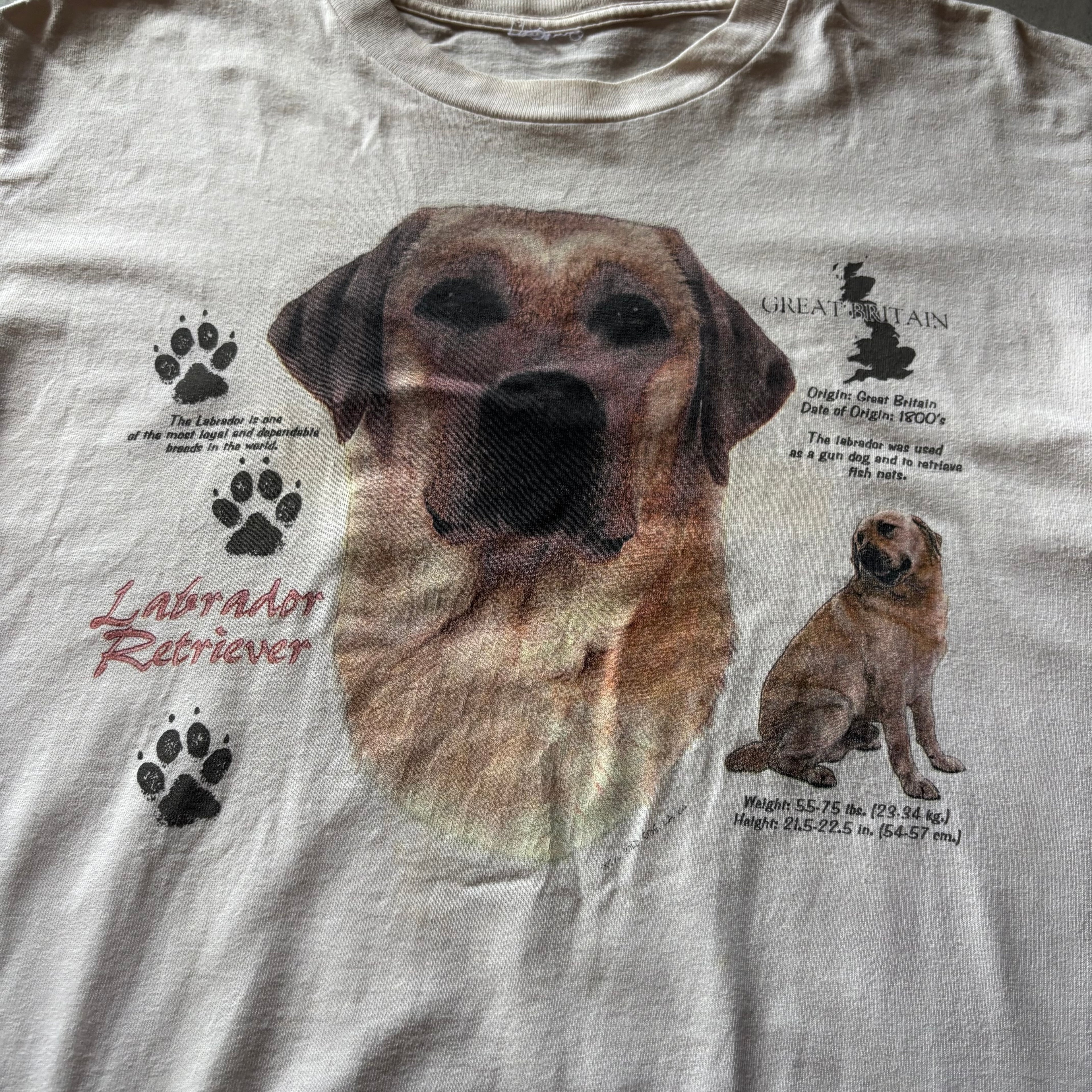 (L) VINTAGE SINGLE STITCH LABRADOR RETRIVER