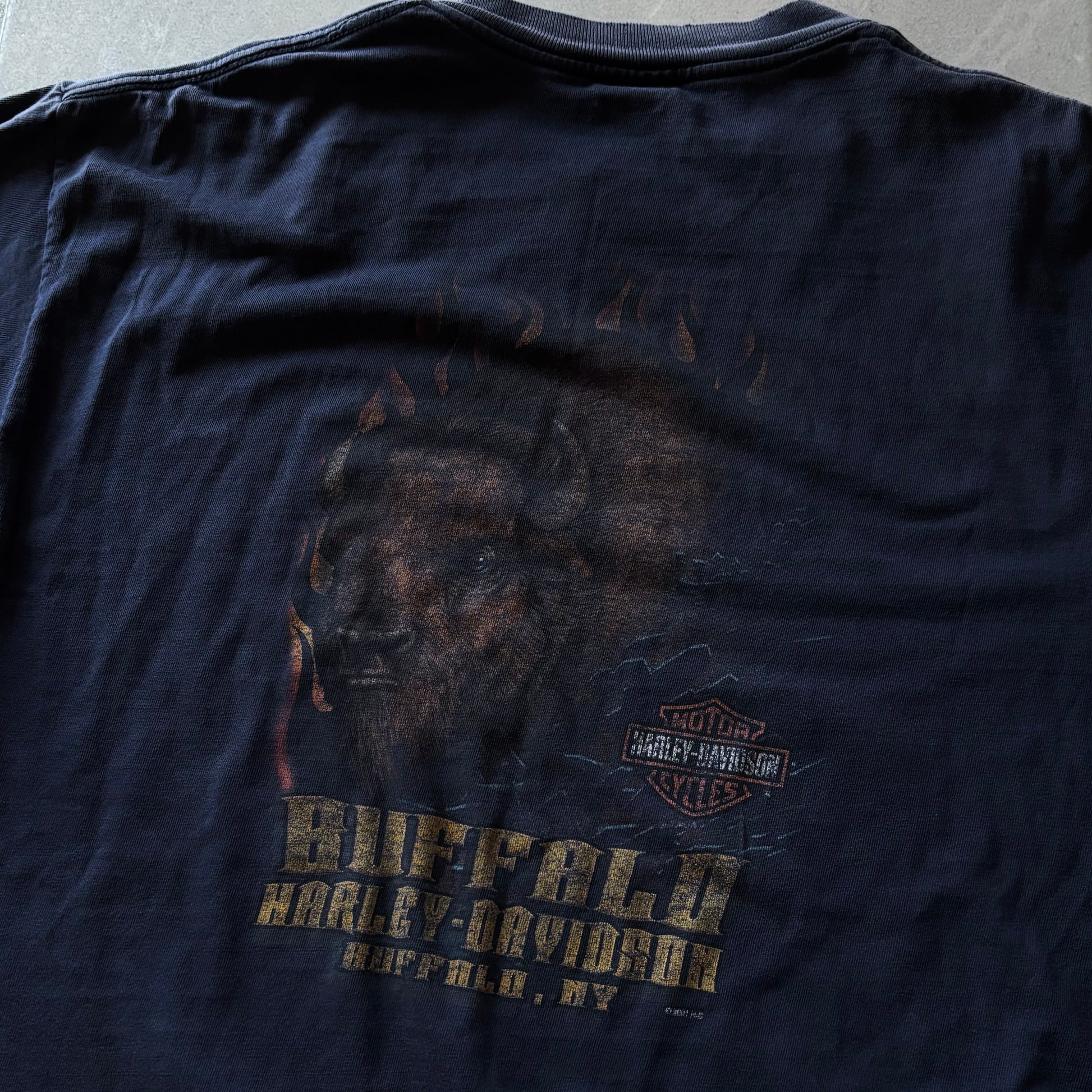 (L) HARLEY DAVIDSON VINTAGE TEE
