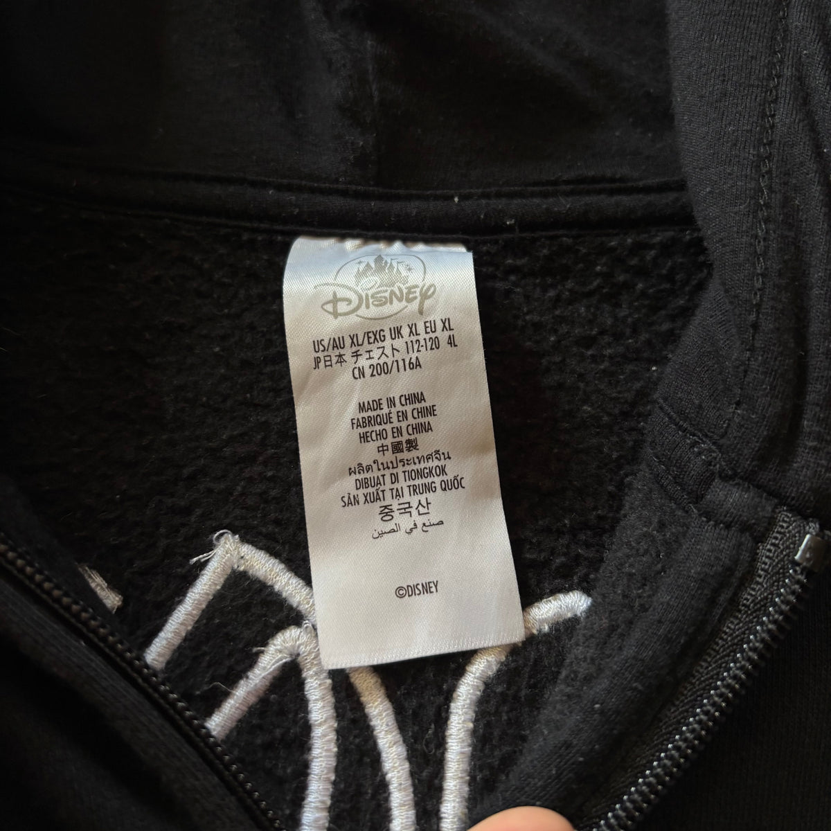 (FIT XL) DISNEY LAND BIG BRAND