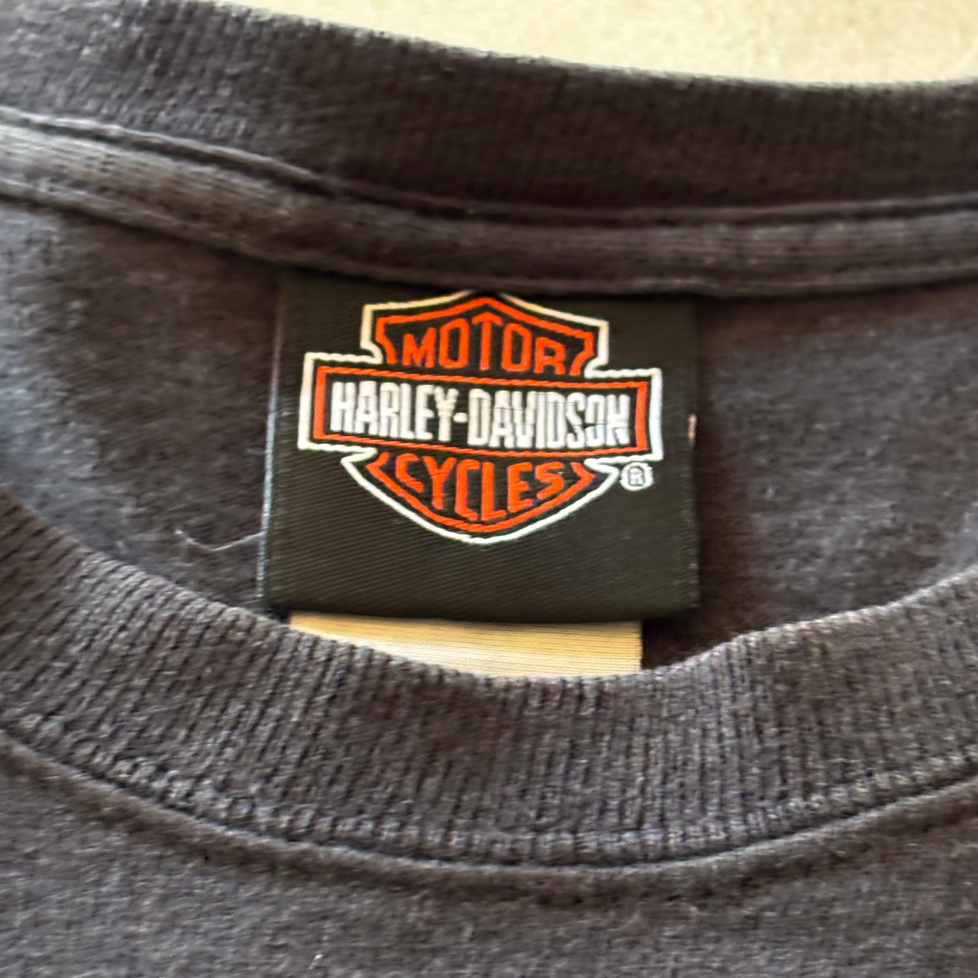 (M BOXY) HARLEY DAVIDSON CLOWN FIRE