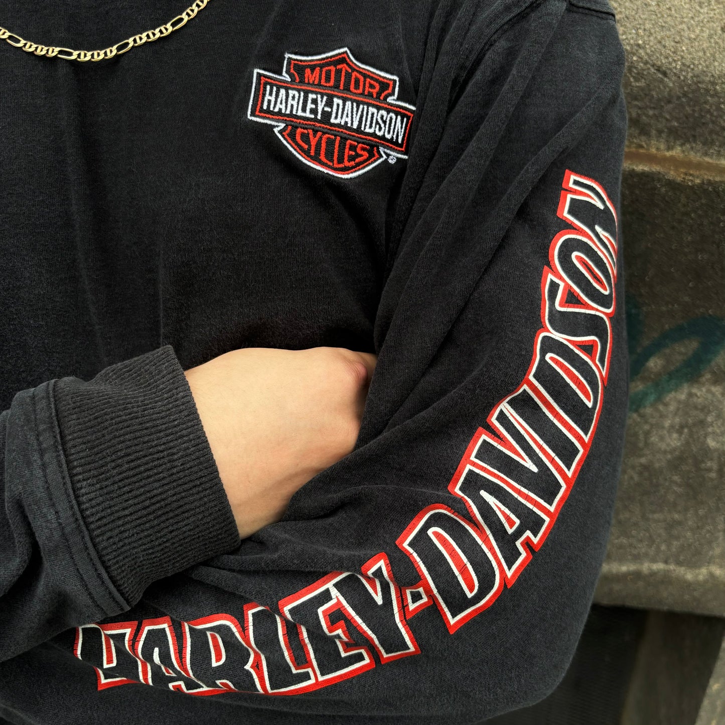 (Fit L Boxy) Harley Davidson Long Sleeve - Vintage - Como Nueva - Bordada