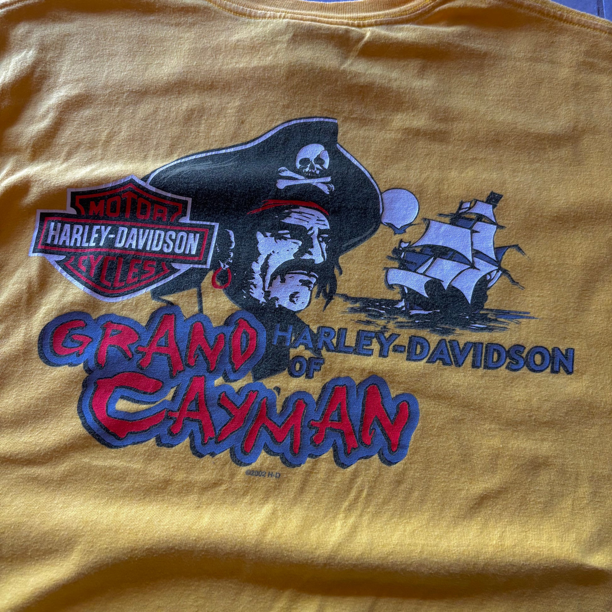 (L) HARLEY DAVIDSON TEE