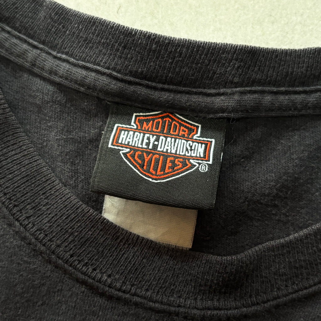 (M BOXY) HARLEY DAVIDSON CLOWN FIRE